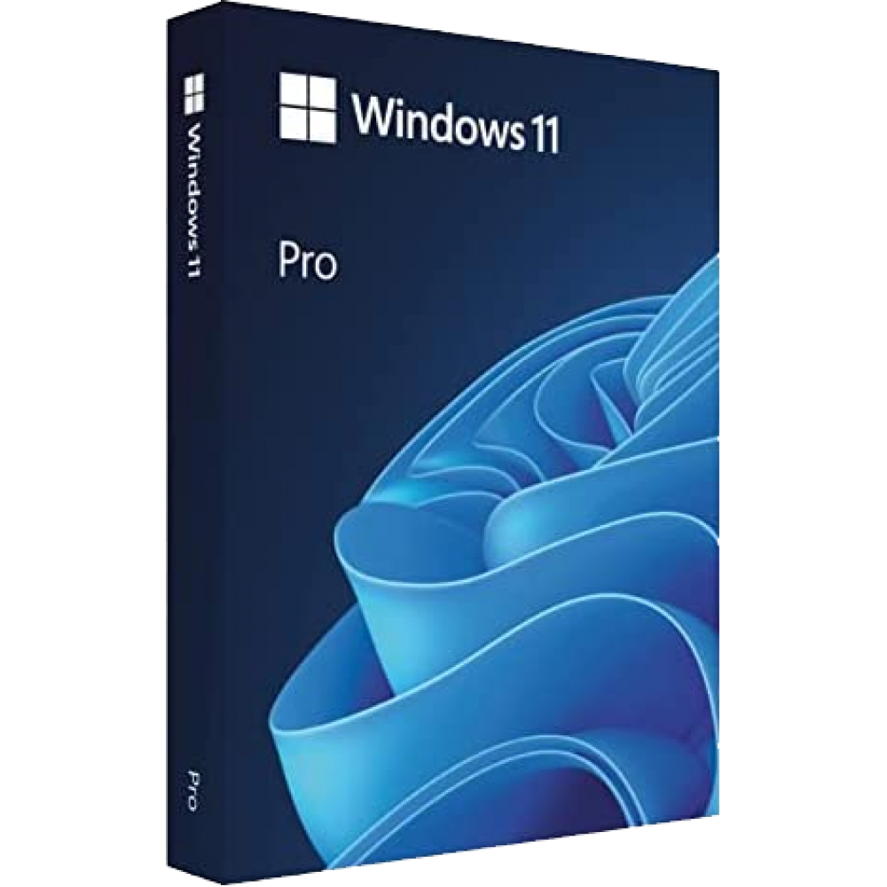 Microsoft Windows 11 Pro (USB) + Lifetime Product Key