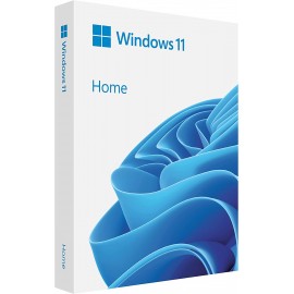 Microsoft Windows 11 Home (USB) + lifetime product key